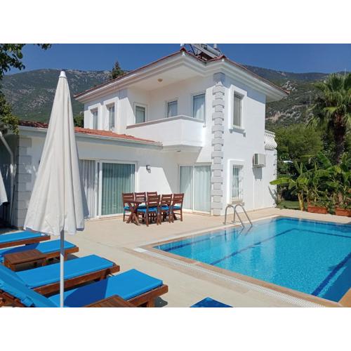 VILLA PALM