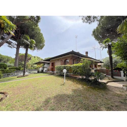 Villa Palm