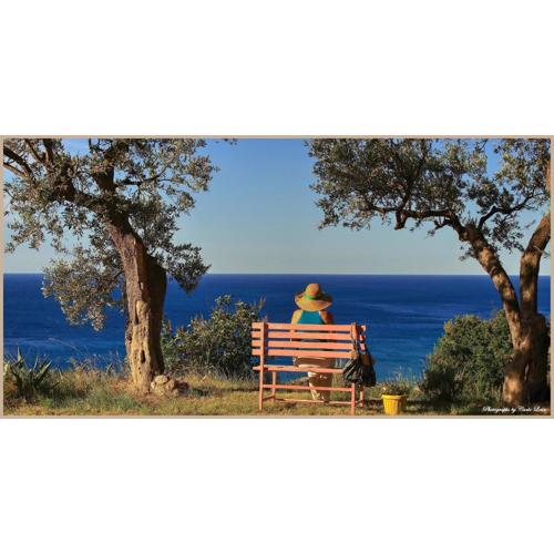 Villa Pierina