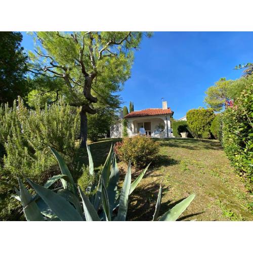 Villa Primule - Taunus Vacanze
