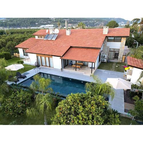 Villa Queen Palm