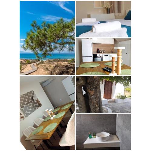 Villa Ra &Za Thassos island