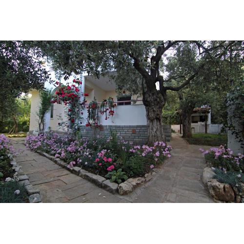 VILLA RELAX