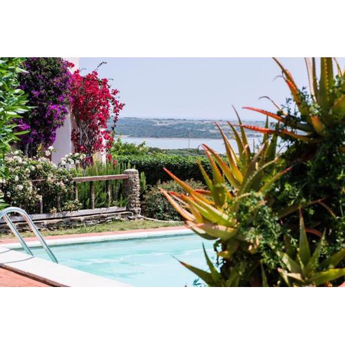 Villa Rosa - Piscina privata