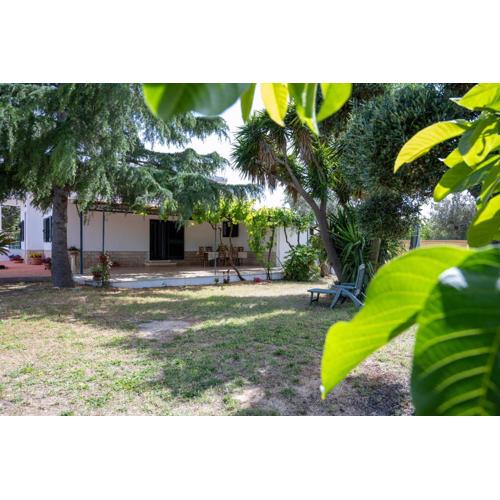 Villa Rosetta