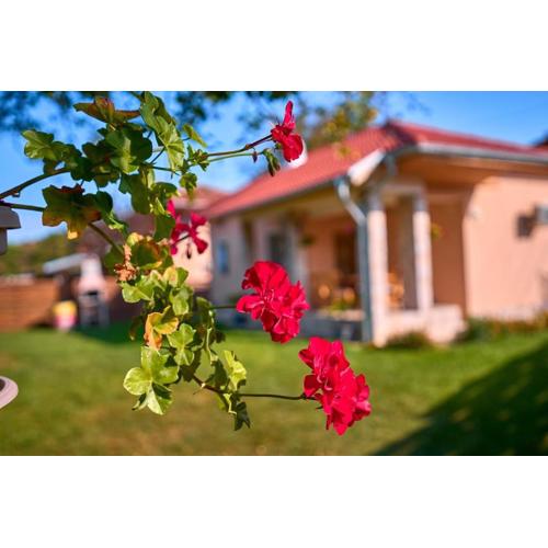 Villa Simida