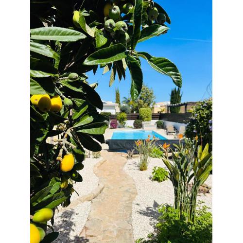 Villa strelitzia