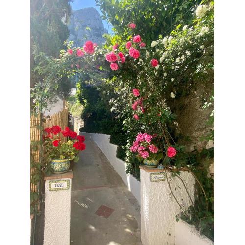 Villa Striano Boutique