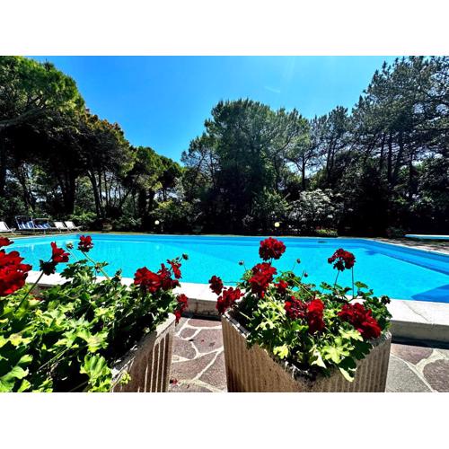 Villa sunshine with pool
