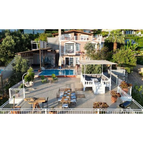 Villa Tulip