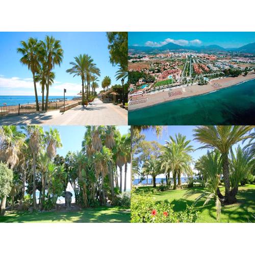 Villa Turrion Für 14 Personen In Marbella