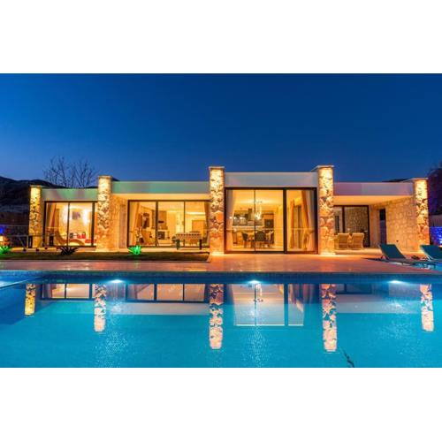 Villa VİP