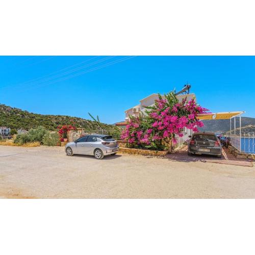 villa white star