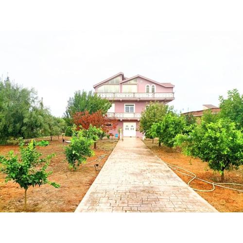 Villas Elona best view
