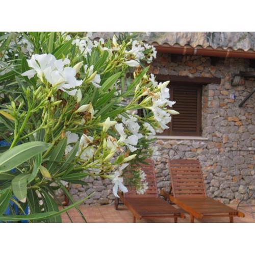 Villetta Edera all\