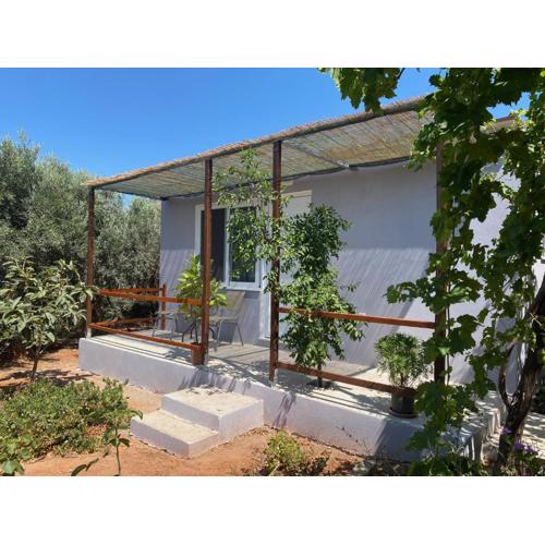 Vine Veranda