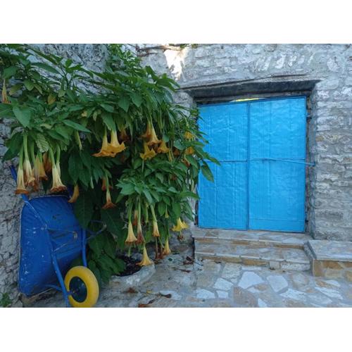 Vintage Mediterranean house