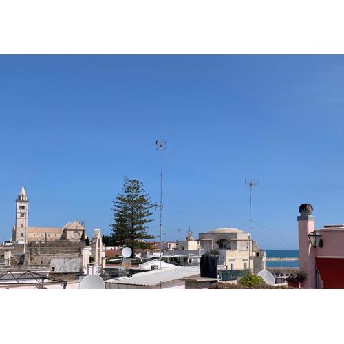 VISCHI Roof con TERRAZZO e vista