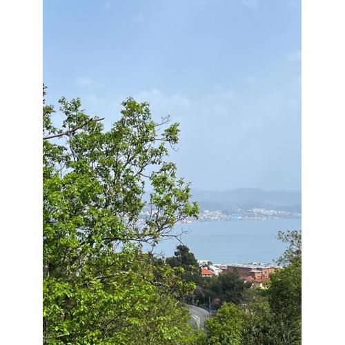 Vista Adriatic