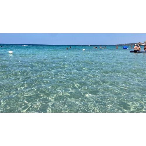 Vista Panoramica