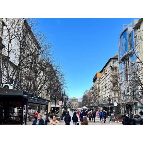 Vitosha Blvd Spacious and Quiet Apartment