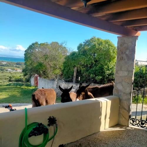 Vivir Tarifa