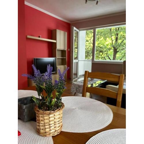 Vlado and Tedi apartment