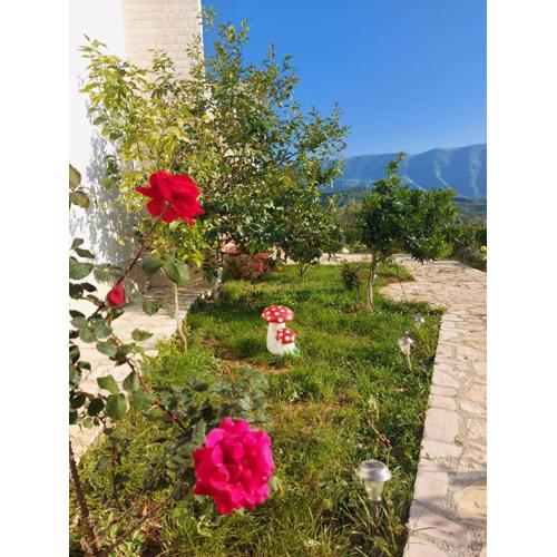 Vlore Casa Vacanze