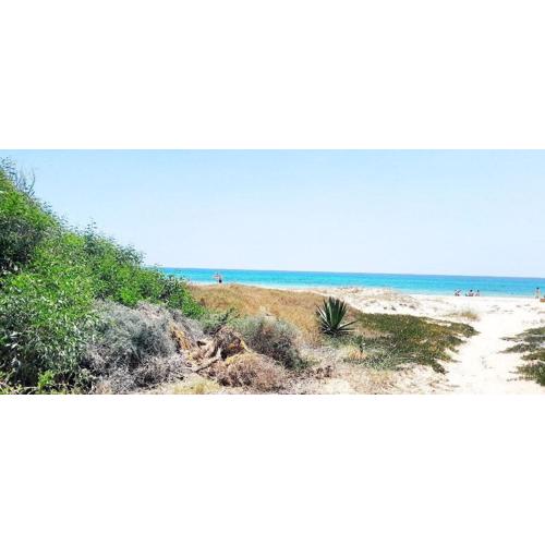 Vue Mer & Sérénité Duplex de Charme à Raoued