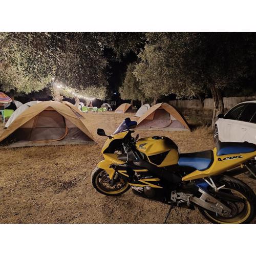 Waveside Camping