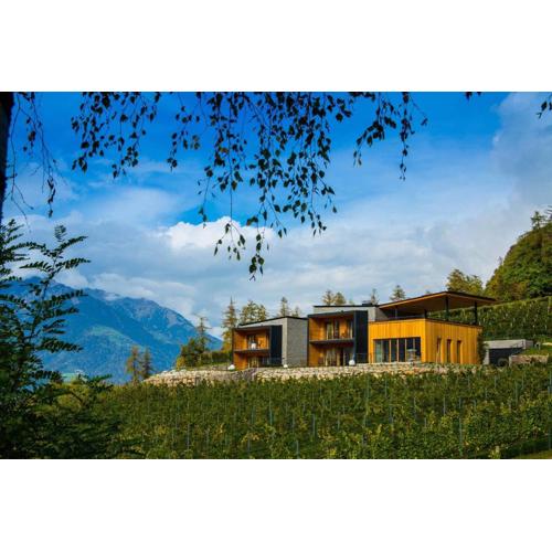 Weingut Eichenstein