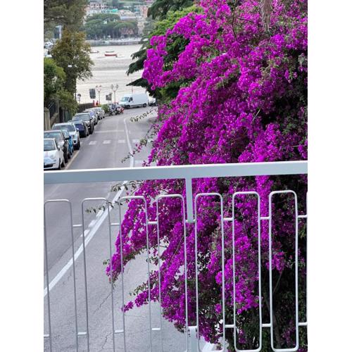 WELCOME RIVIERA -TORRE D\