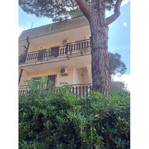 Welcoming apartment in Rosolina