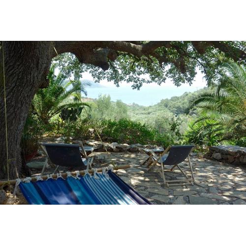 Wellanidia Cottage Skoutari