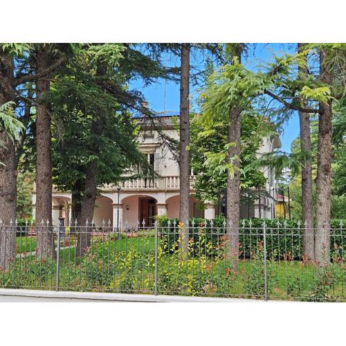 White House B&B