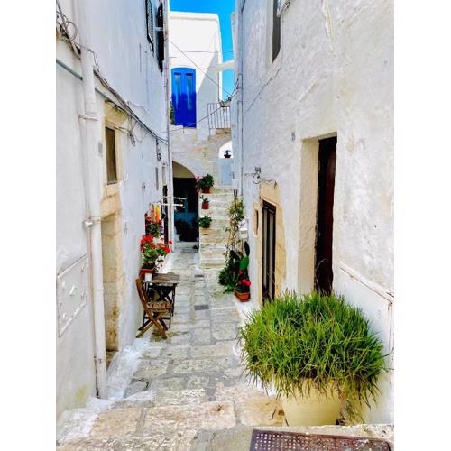 WHITE STONE- La nicchia