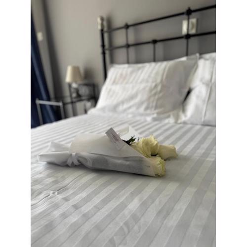 WINDSOR PLACE - Large Private Apartment, Sleeps Up To 7
