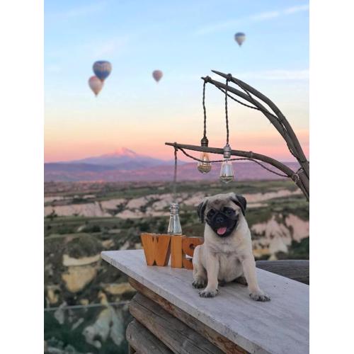 Wish Cappadocia