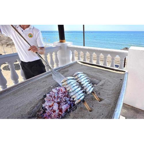 Wonderful studio apartment on the beachfront