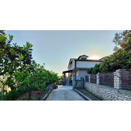 Wooden Guest House