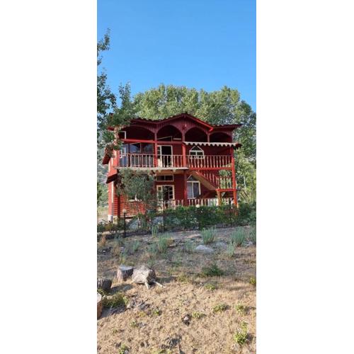 Wooden House