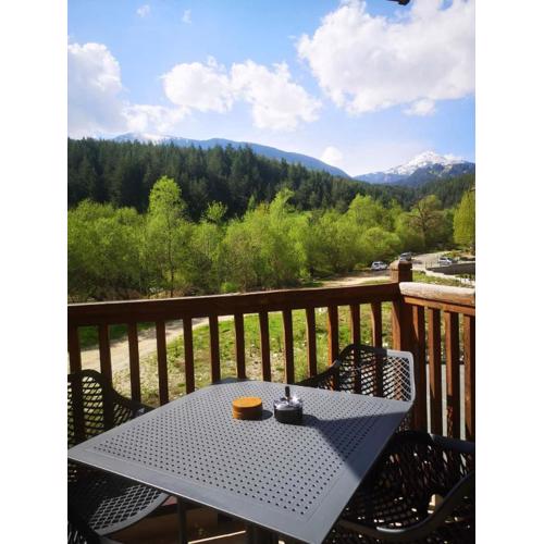Woodsy views 1 bedroom apartment