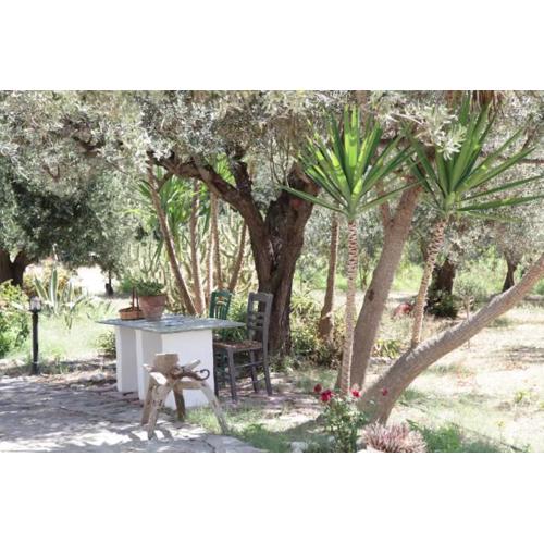 Xarites Skyros