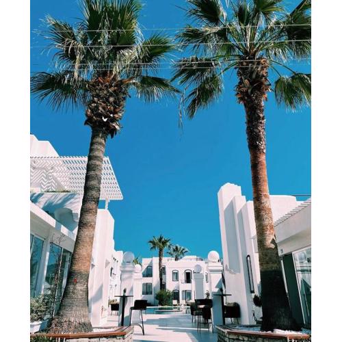 Yalinn Boutique Hotel