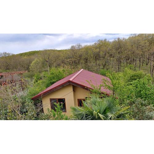 Yellow villa