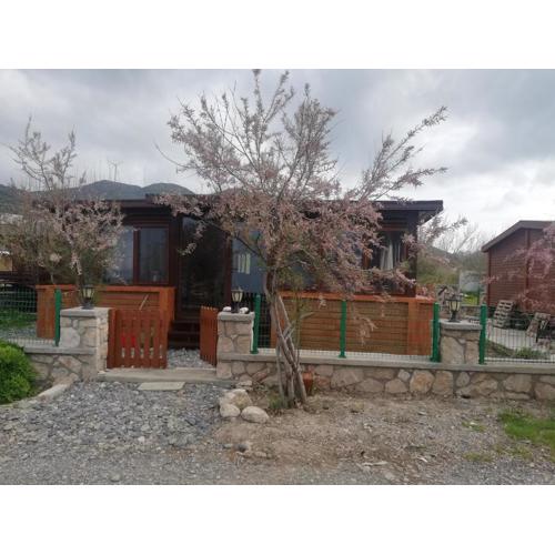 Yeniliman Bungalaov Evleri - Verandalı Ev - Karaburun - İzmir