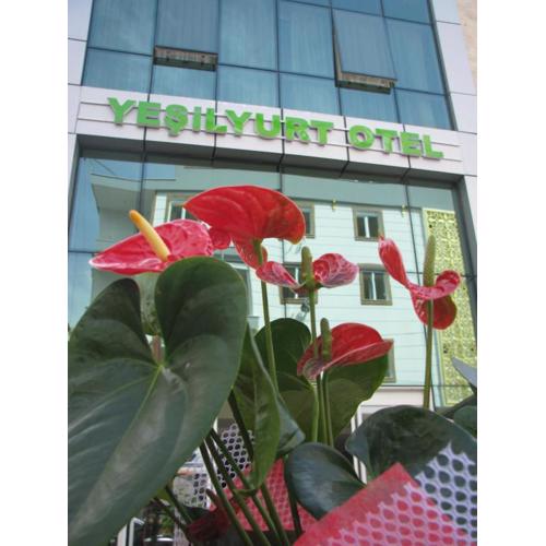 Yeşilyurt otel