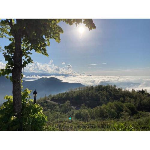 Zarha Mountain Resort