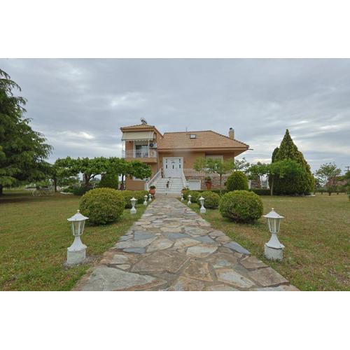 Zeus Kellys Villa