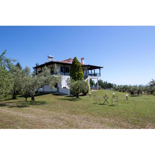 ZeusPlace Olympus Olive Country House 2